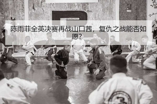 chen-yu-fei-quan-ying-jue-sai-zai-zhan-shan-kou-qian-fu-chou-zhi-zhan-neng-fou-ru-yuan-2-319.jpg